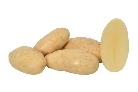 spunta-potato-seed