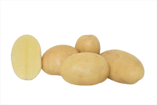 Seed potato AZILIS Variety