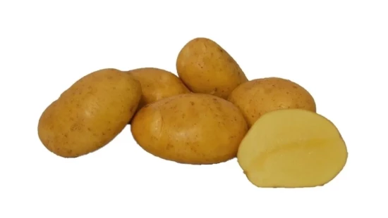 Agria-seed-potato
