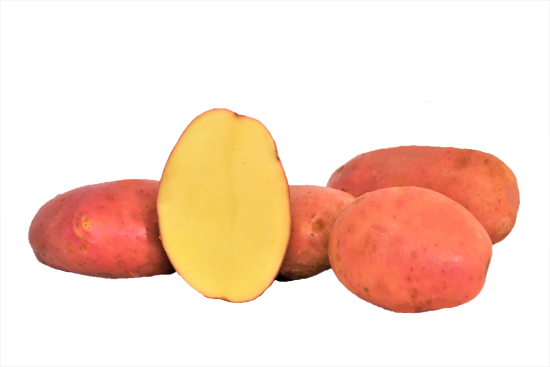 seed-potato-desiree-variety