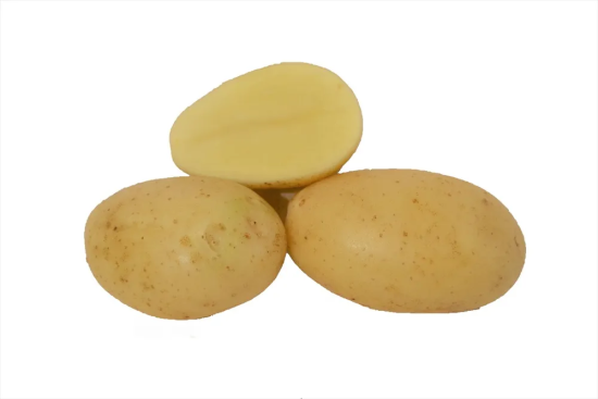 seed-potato-monalisa-variety
