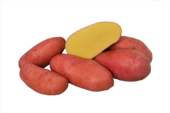 seed potato red skin salad