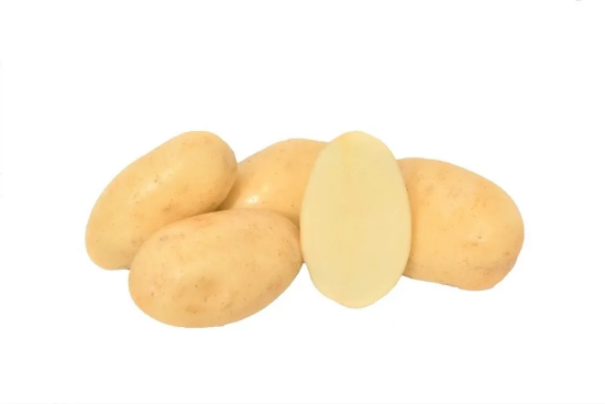 sahara-seed-potato-export-potato
