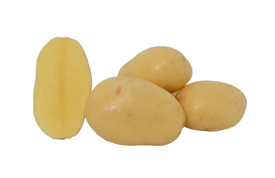 manureva-seed-potato