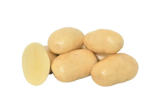 kalys-variety-seed-potato