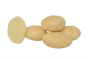 seed-potato-synergy-variety